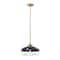 Hello Honey® Robert Stevenson Lighting Presley Caged Dome Metal Ceiling Light